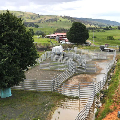 Galvanised Bull Panel Fence Resists Corrosion Livestock Fencing
