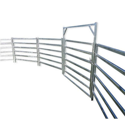 Easy Assembly Livestock Corral Panels Galvanized Cattle Panel 12ft 15ft 20ft