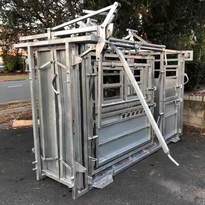 Rectangle Portable Cattle Crush PVC Coated Powder Coated Calf Crush