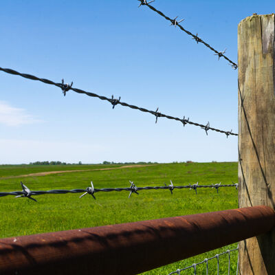 Forest Barbed Wire Fence Roll Good Corrosion Resistance Barbed Wire Single Strand