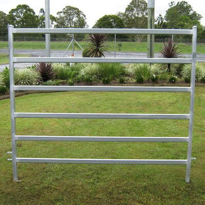 Farm 1.8m Square Tube Cattle Panel Fence Galvanized Customized
