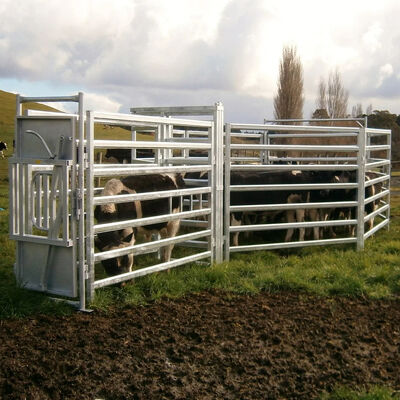 Farm 1.8m Square Tube Cattle Panel Fence Galvanized Customized