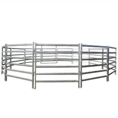 Height 1.6m Galvanized Cattle Livestock Panels Easy Assembly Farm Metal Fence