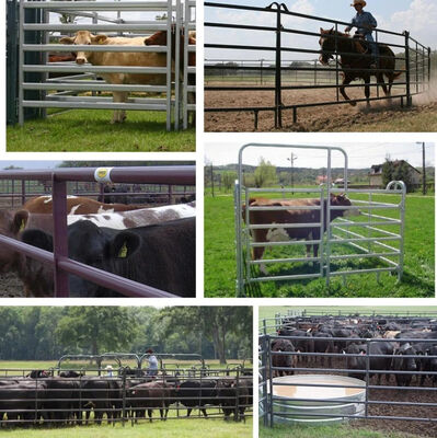 Heavy Duty Cattle Panel Fence 30x60mm 40x80mm 115x42mm Livestock Fencing