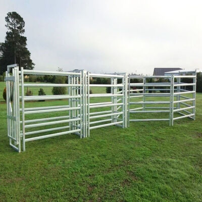 32mm O.D Hot Dipped Galvanized Steel Fence Panels Livestock Heavy Duty