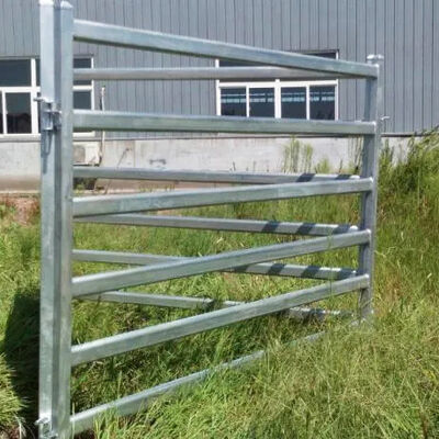 32mm O.D Hot Dipped Galvanized Steel Fence Panels Livestock Heavy Duty