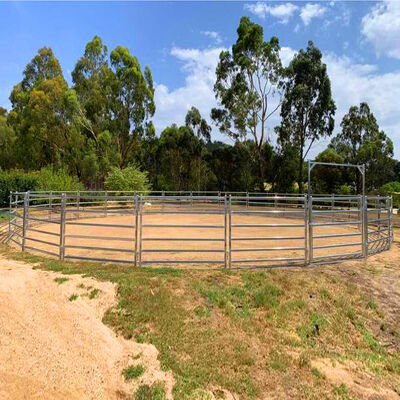 Hot Dipped Galvanized Cattle Panels Livestock Metal Fence Panels Resists Corrosion