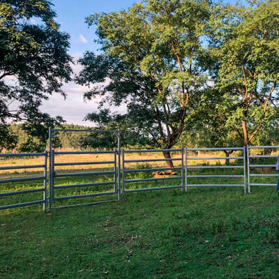 Easy Assembly Livestock Corral Panels Galvanized Cattle Panel 12ft 15ft 20ft