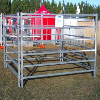 40 X 40mmx 1.6mm / 2mm Portable Farm And Fleet Cattle Panels Package Plastic Film Farm Fencing Panels