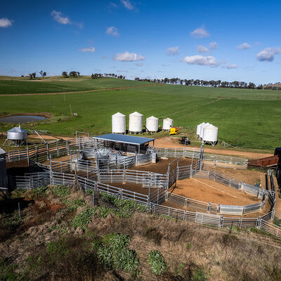 2.1m Portable Cattle Fence Panels Cattle Wire Fence Panels For Pasture