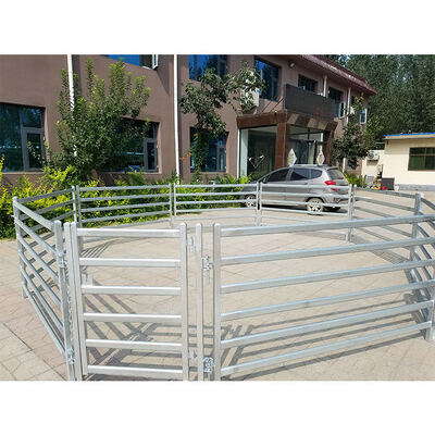5ft Sheep Livestock Panels 1.6m 1.7m 1.8m Height Sheep Feedlot Panels