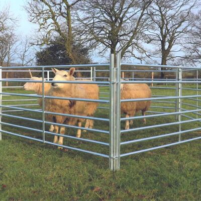 Sheep Fence Panels Hot-Dipped Galvanized Metal European Design Style