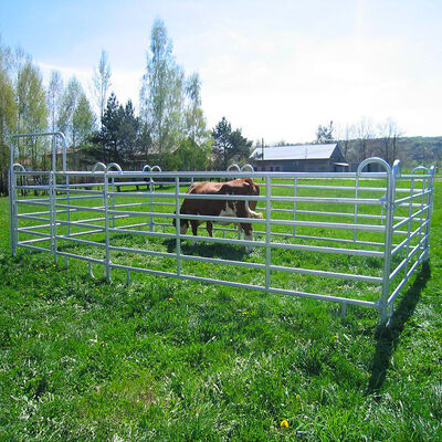 Length 2.1m Height 1.8m Galvanized Livestock Panels For Horse Fence 6 Rails