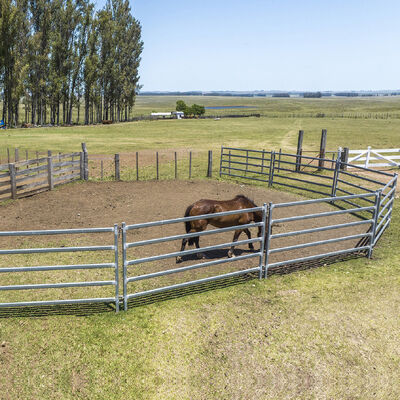 Hot Dipped Galvanized 12 Ft Portable Fence Panels For Horses Heavy Duty Farm Panel