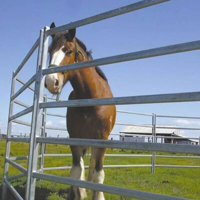 1m Metal Horse Fence Panels Pasture Portable Horse Corral Panels