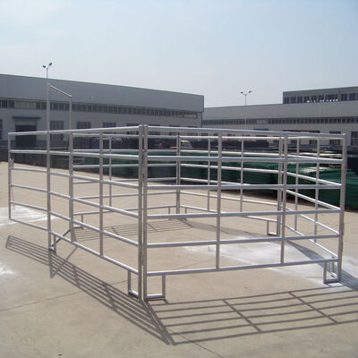 1.8m Livestock Farm Yard Fence Panels Galvanized Steel 6 Rail Horse Corral Fencing