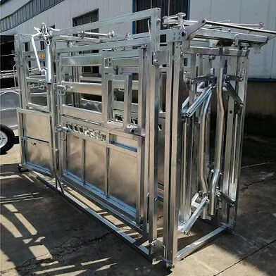 Customized Cattle Head Crush Galvanized Cattle Clipping Crush