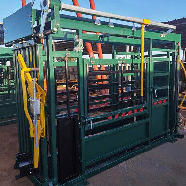 Powder Coated Cow Crush Rectangle Cattle Crush With Scales Heavy Duty