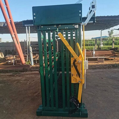 Powder Coated Cow Crush Rectangle Cattle Crush With Scales Heavy Duty