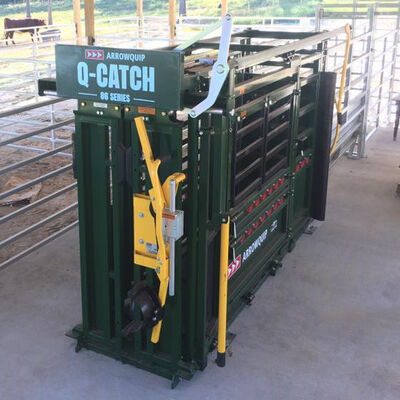 Powder Coated Cow Crush Rectangle Cattle Crush With Scales Heavy Duty