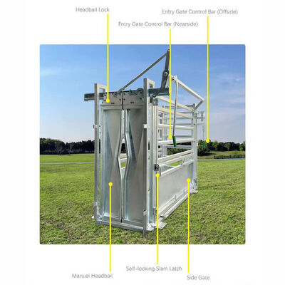 Oem Ranches And Farms Vet Cattle Crush Galvanized Cattle Clipping Crush