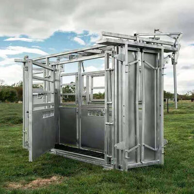 Livestock Cattle Crush With Weigh Scales Customization Cow Crush