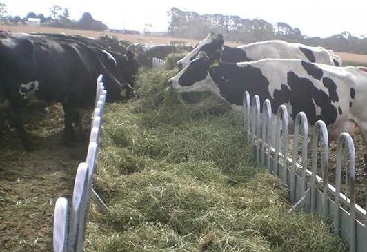 Automatic Wild Galvanized Round Feeder Animal Horse Stable Feeder Cast Iron