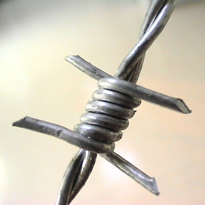 100m-500m Razor Wire Roll Single Strand Security Barbed Wire