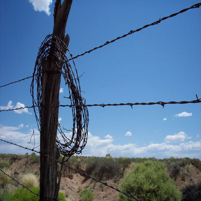 1.6mm 1.7mm Barbed Wire Chain Link Fence Forest Chain Link Barbed Wire