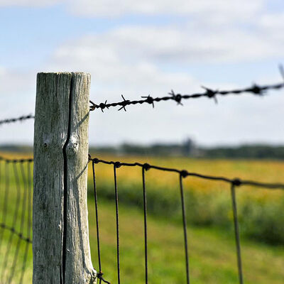Roll Single Twisted Concertina Barbed Wire Neat And Bright In Color
