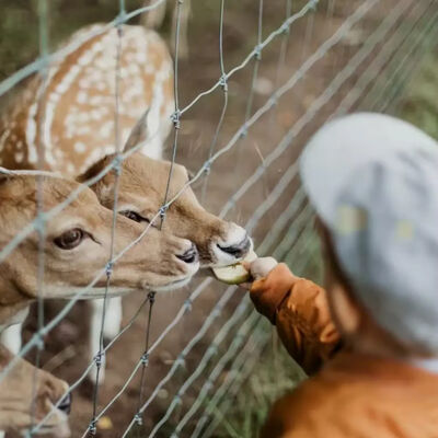 Barbered Wire Hinge Joint Fencing Rot Proof 2.6m Height Hinged Fencing