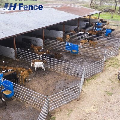 Unbending Cattle Panel: Solid Welded Grid Construction Withstands Maximum Livestock Pressure & Impact