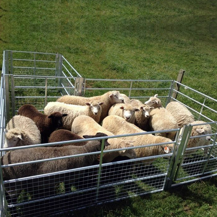 3mm Galvanised Sheeting Galvanized Livestock Fence Panels Protect Goat ...