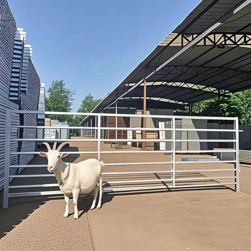 1.2m Welded Goat Fence Panel Galvanized Hog And Sheep Panels