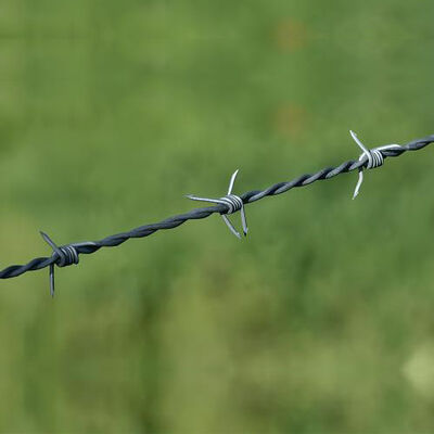 Roll Single Twisted Concertina Barbed Wire Neat And Bright In Color